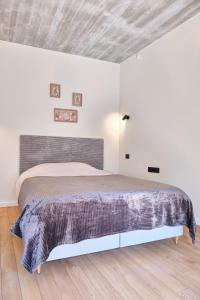 Postel nebo postele na pokoji v ubytování Vėjų Vėjai