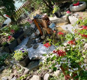 a garden with a bunch of flowers and plants at Balla House in Tărcaia