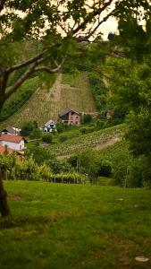 una casa en la cima de una colina con una granja en Golden Pinpoint en Gornje Vratno