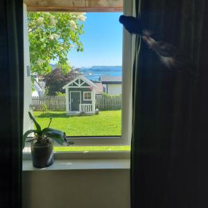 una ventana con una maceta en el alféizar de la ventana en Apartment near center / free P, en Ålesund