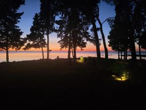 a sunset over the water with trees and a bench at Villa AMore Radini Istrian stone house Studio with private parking and terrace in Brtonigla +14 photos