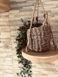 a hanging basket with a plant in it at Las plantas-studios-apartments-Corfu in Dassia
