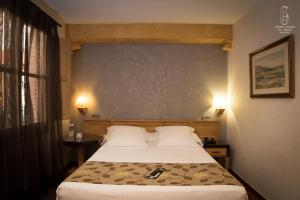 um quarto com uma cama com 2 almofadas e 2 candeeiros em Hotel Pintor El Greco em Toledo