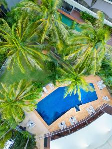 Baseinas apgyvendinimo įstaigoje Hilton Garden Inn Darwin arba netoliese