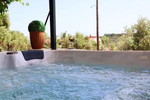 ein Schwimmbad mit Topfpflanze daneben in der Unterkunft Thassion-ikea Feels Like Home in Astris