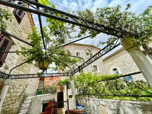 a view of a building with some plants in it at Old town house with private garden in Budva