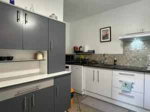 eine Küche mit grauen Schränken und weißen Geräten in der Unterkunft En ville avec un air de campagne in Arles