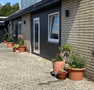une rangée de plantes en pot sur le côté d'un bâtiment dans l'établissement Komfort Zone, à Wolfsburg