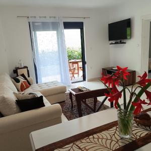 TV a/nebo společenská místnost v ubytování Radgost Kotor Apartments + 37 fotografií