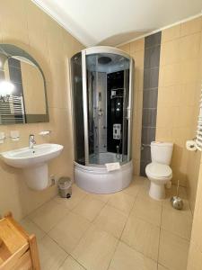 ツァルナ・グラにあるSkalny Brzegのバスルーム(シャワー、トイレ、シンク付)