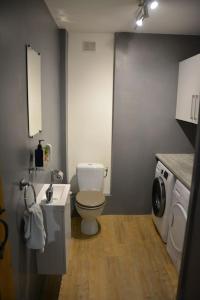 a bathroom with a toilet and a washing machine at Large 3 bedroom Cottage near Ruffec in Bernac +31 photos