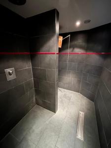 a bathroom with a shower with a red line at Hotel Alfa Superieur - Leukerbad-Therme in Leukerbad