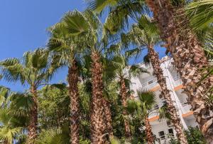 Gambar di galeri bagi UK Hotel Kiriş di Kemer