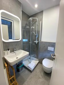 a bathroom with a shower and a sink and a toilet at Zur Waldlust in Frankfurt/Main