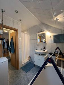a bathroom with a sink and a shower at Idyllisches Zechenhaus, auch geeignet als Monteurenwohnung in Essen