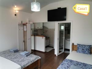 ein Wohnzimmer mit einem Sofa und einer Küche in der Unterkunft Casa Dașoveanu in Sulina