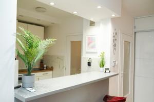 - une cuisine avec un comptoir blanc orné de plantes dans l'établissement Casa de Dinca, 2 bedroom, 6 persons, free parking zone, à Zagreb