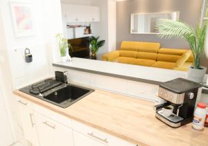 Kuchnia lub aneks kuchenny w obiekcie Casa de Dinca, 2 bedroom, big balcony, free parking zone