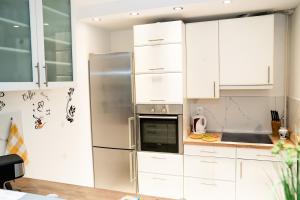Kuchnia lub aneks kuchenny w obiekcie Casa de Dinca, 2 bedroom, big balcony, free parking zone