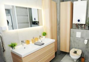 Łazienka w obiekcie Casa de Dinca, 2 bedroom, big balcony, free parking zone