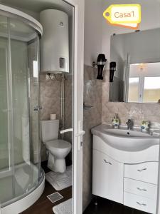 uma casa de banho com um chuveiro, um lavatório e um WC. em Casa Dașoveanu em Sulina