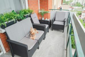 Część wypoczynkowa w obiekcie Casa de Dinca, 2 bedroom, big balcony, free parking zone