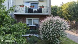 a house with a balcony and a pond in front of it at Kuća Donji Park in Bečej