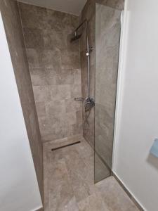 a shower with a glass door in a bathroom at Albert Hotel in Roşu