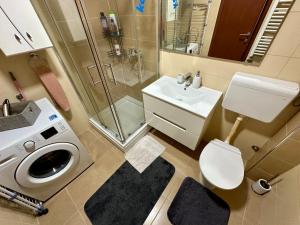 La salle de bains est pourvue d'un lave-linge et d'un lavabo. dans l'établissement Belgrade Apartment 1, à Zvezdara