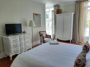 a bedroom with a bed and a tv and a dresser at Maison Coqueréaumont in Montagne