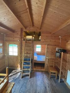 Palanda nebo palandy na pokoji v ubytování Steiner's Camping & Lodge