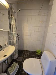 uma casa de banho com um WC branco e um lavatório. em Borent Suite Apartment em Turku