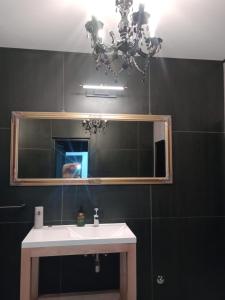 Fotografie z fotogalerie ubytování Rezidencija Arion v destinaci Kraljevo + 37 fotografií