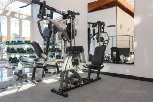 Das Fitnesscenter und/oder die Fitnesseinrichtungen in der Unterkunft Aparthotel Ciudad Laurel