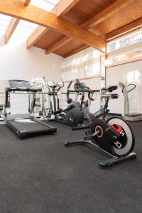 Das Fitnesscenter und/oder die Fitnesseinrichtungen in der Unterkunft Aparthotel Ciudad Laurel