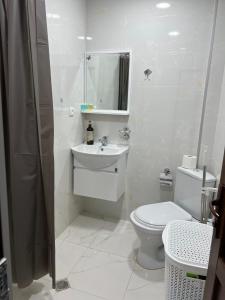 Baño blanco con aseo y lavamanos en Kutaisi Apartment en Kutaisi