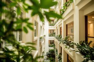 A garden outside Apricot Hotel