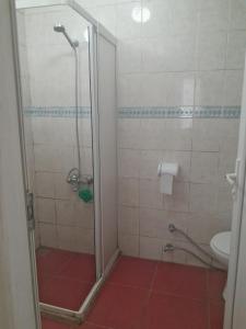 a bathroom with a shower and a toilet in it at Onur Pension in Fethiye