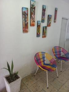 two chairs and a plant on a wall with pictures at posada barrios mar in Cartagena de Indias