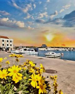 een bos gele bloemen voor een jachthaven bij "Golden Sky"Rooftop Pool Villa in Vodice