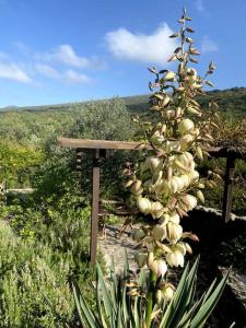 Fotografie z fotogalerie ubytování Bigovo Bush House Montenegro Coast v destinaci Prijevor