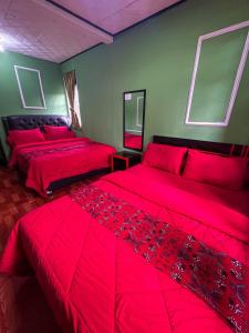 two red beds in a room with green walls at Green Savanah Homestay Syariah in Diyeng