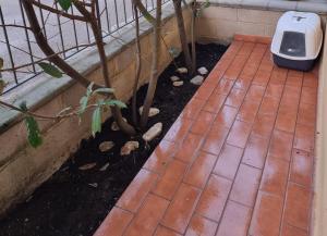 Zahrada ubytování Casina Manu