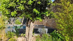 博尼法喬的住宿－Hôtel Les Suites Du Maquis，坐在泳池旁树边的长凳