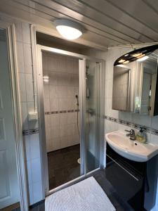 a bathroom with a shower and a sink at Visit Leif at Senja in Gibostad
