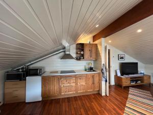 una cucina con soffitto, frigorifero e TV di Visit Leif at Senja a Gibostad