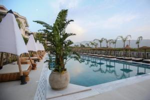 a resort swimming pool with chairs and a palm tree at Regina Palm Resort in Orikum