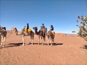 a group of people riding on camels in the desert at Chegaga Starlight Camp - Mhamid Desert Haven in Mhamid