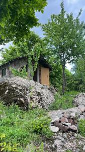 Příroda nedaleko luxury tent