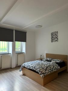 ein Schlafzimmer mit einem Bett und zwei Fenstern in der Unterkunft Ljubljana Center Nearby Everything in Ljubljana